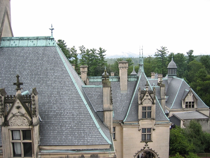 06 Biltmore Estate roof.JPG